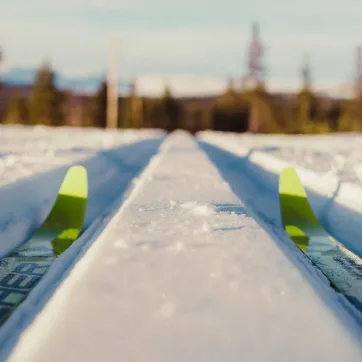 Cross country ski's.