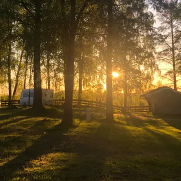 Camping i skogen i motjus