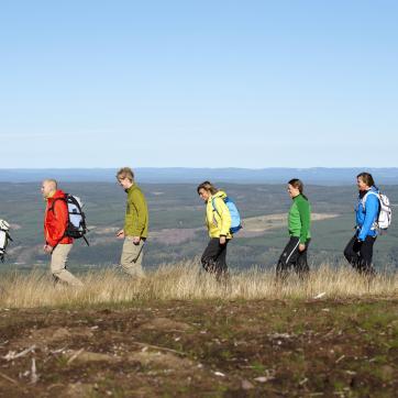 A group of people hiking on a mountain trail.
