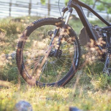A bicycle wheel on a mountain bike.