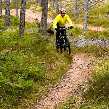 MTB cyklist på skogsled i Mora.