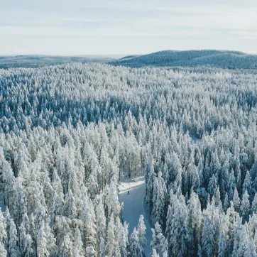 Vintrigt landskap över Dalarna.