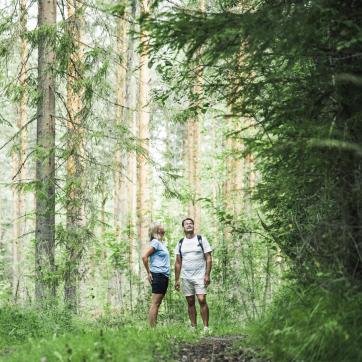 Couple walking in forest.