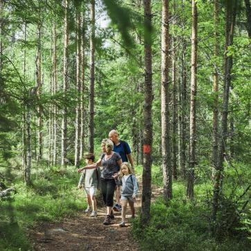 A family hiking on a forest trail.