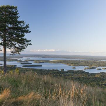View over the lake Siljan from Gesundaberget.