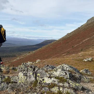 A guy on a hiking trail in Idre.