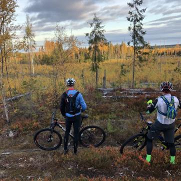 Cyklister på skogsled i Siljansnäs