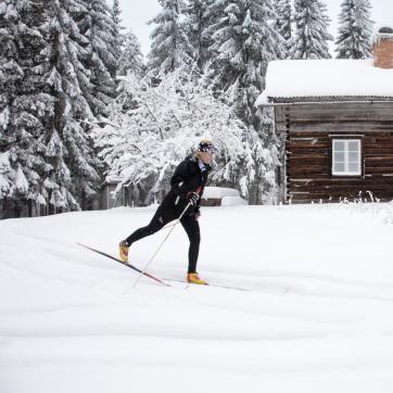 Cross-country skiers in cross-country trails in Säter.