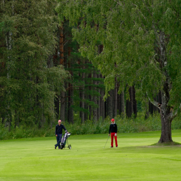 Golf course in Rättvik.