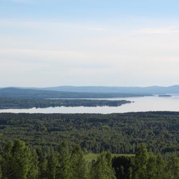 Vy över sjön Siljan och dess natur runt om.