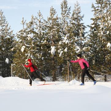 Two people doing cross country skiing.