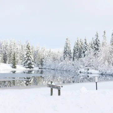 Vinter view of a forest and a lake in Ludvika.