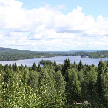 View over a lake and the forest in the region of Smedjebacken.