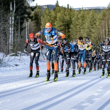 Skiers during Vasaloppet.