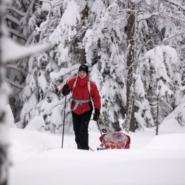 A man doing cross country skiing.