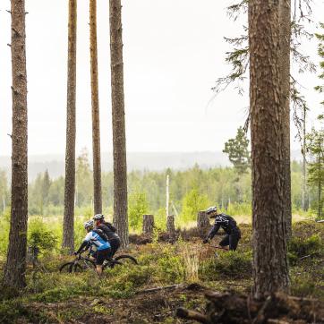 Cyclists on MTB trail in forest of Leksand.