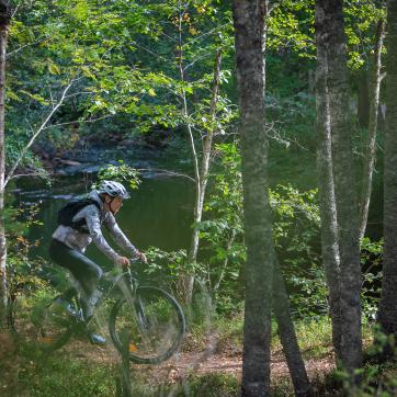 Person som cyklar i skog.