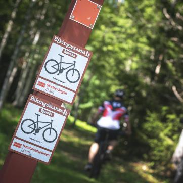 Trail signs for a marked cycle path.