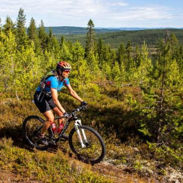Cyklist på skogsled i Älvdalen.