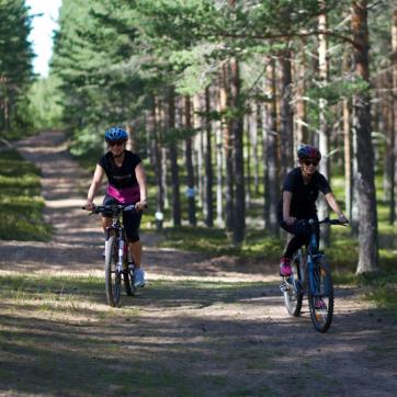 Två cyklister på skogsled i Rättvik.
