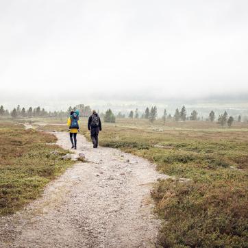 Två personer vandrar längs en väg på ett dimmigt fjäll.