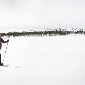 A skier on a trail.