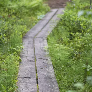 Hikingtrail in Smedjebacken.
