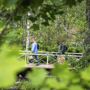Två vandrare på en bro i naturen.