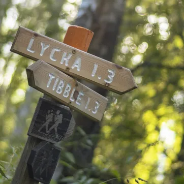 Trail sign.