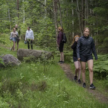 Folk som vandrar på en led i skogen.