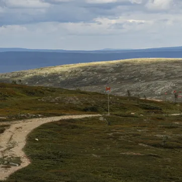 A hiking trail at Nipfjället in Idre.