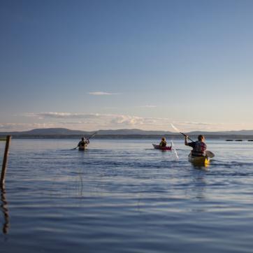 Three canoeists on a lake.