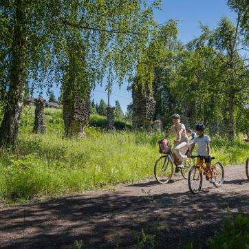 Cyklister längs en grusväg med grönskande träd bakom.