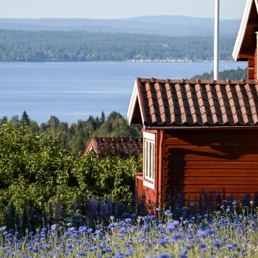 Blommar och rött hus med vy.