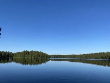 Lugn sjö och skog.