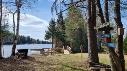 Rastplats vid en sjö med bänkar, liten träbro och stig i barrskog, samt vägskyltar på träd under klar himmel.