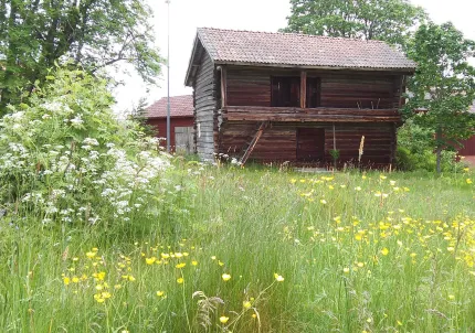 Ett hus i ett fält av gräs.