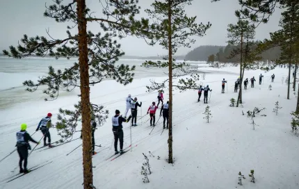 Många skidåkare i skidspåret.