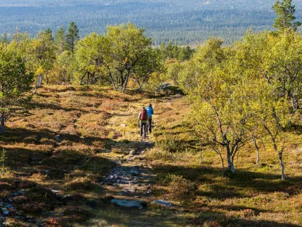 Två vandrare på en led på fjället.