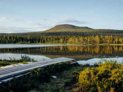 Bergen och skogen speglas i vattnet på en tjärn.