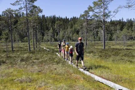 Vuxna och barn som vandrar på led på en spång.