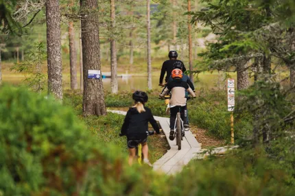 Två barn och en vuxen som cyklar på en spång i skogen.
