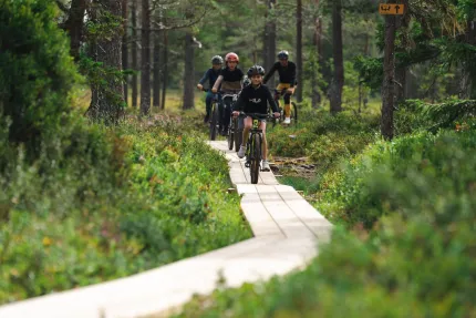 Cyklists on a footbridge in the forrest.