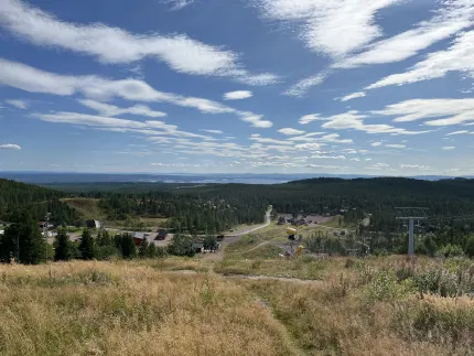 View from the top.