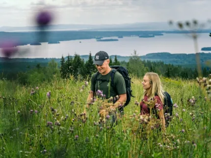 A couple walking on a meadow among flowers, a lake in the background.