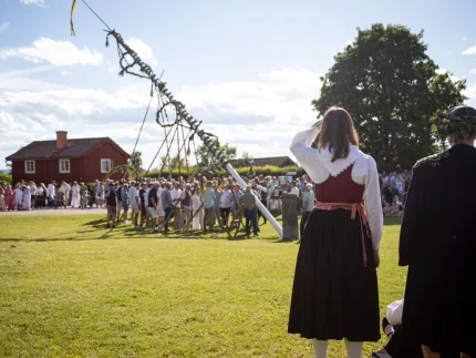 A man and a woman in fol custums watching people raising a maypole.