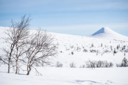 A snowy landscape with a tree and a mountain.