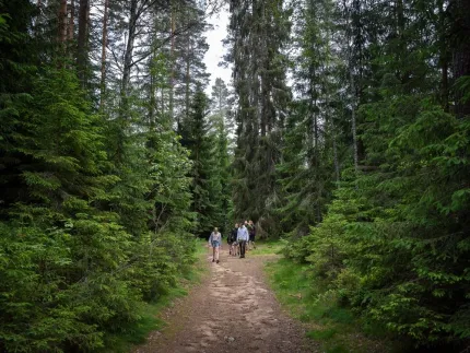 Vandrare på en led i skogen.