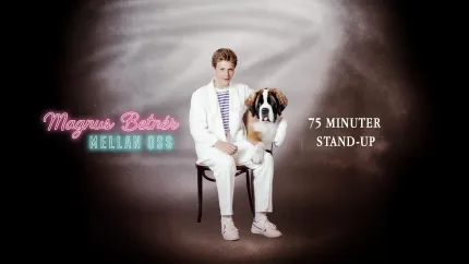 En person som sitter på en stol med en hund.