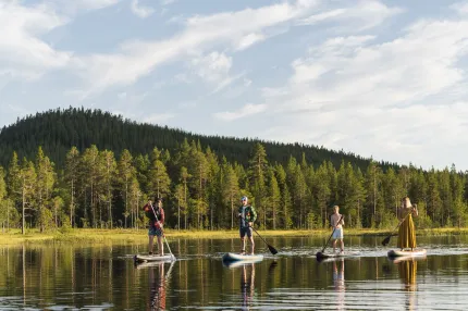 Fyra personer på Stand up paddle boards, berg och skog i bakgrunden.